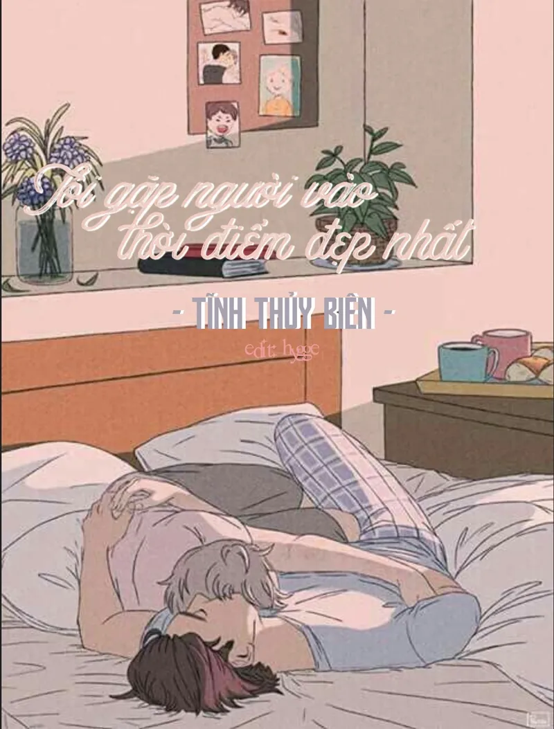 Bìa truyện Tôi Gặp Người Vào Thời Điểm Đẹp Nhất